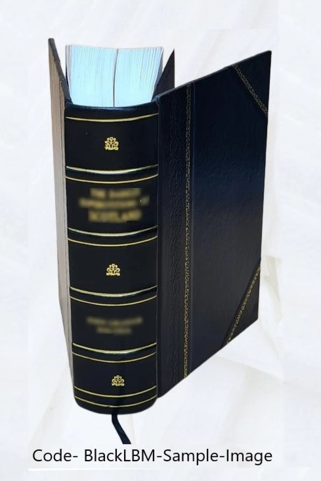 The old merchants of New York City. Sizeecond series / by Walter Barrett. Volume vol-3 part 1-2 1870 [Leather Bound]