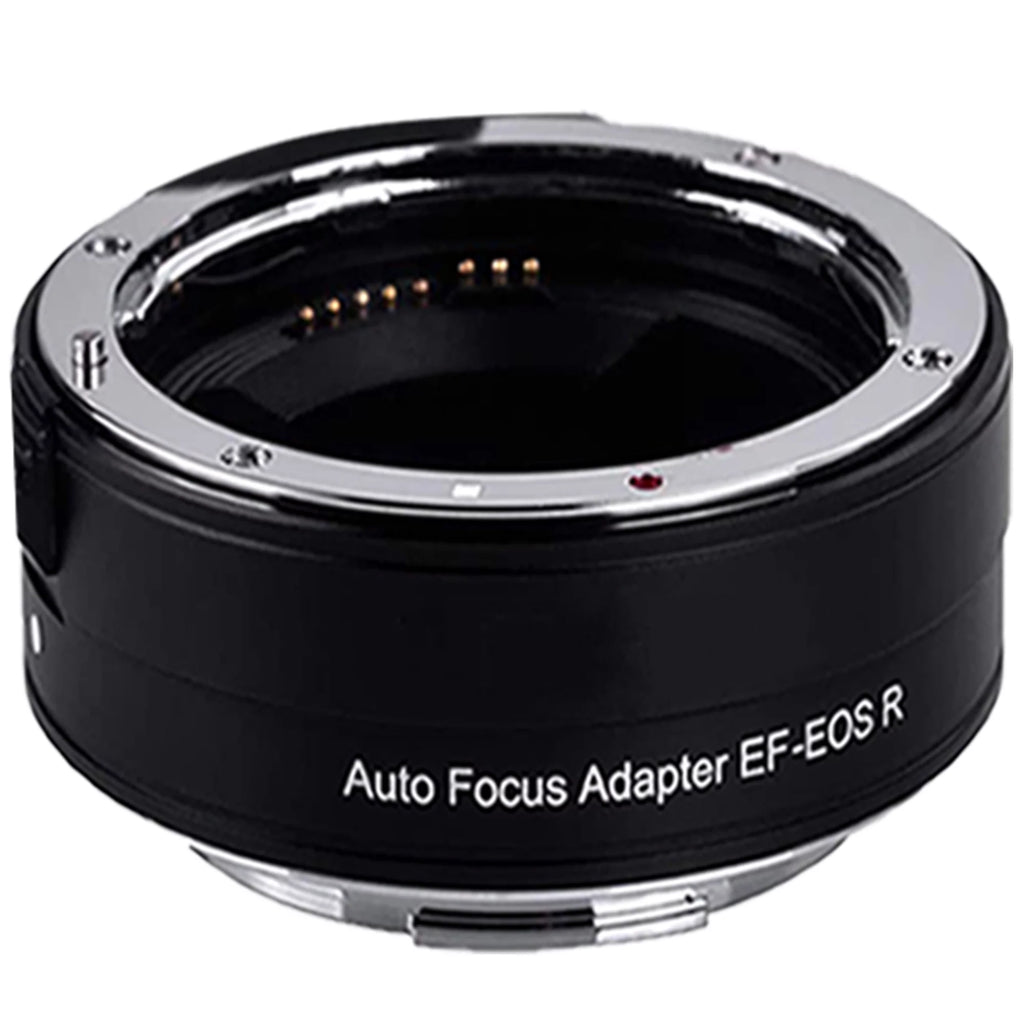 Canon EOSize R5 Mirrorless Camera with RF24-105mm + 75-300mm Lens + Mount Adapter + 2 Pack SizeanDisk 32GB + ZeeTech Accessory