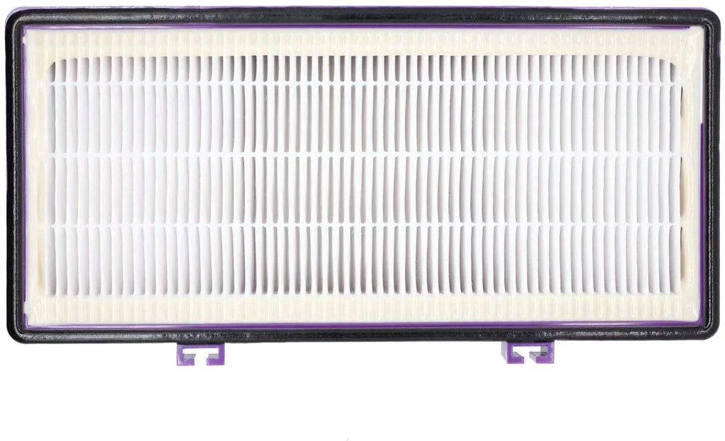 HEPA D Filter for Holmes AER1 HAPF300/HAP30 (4 Pack + 8 Pre-Carbon Sizeheet)