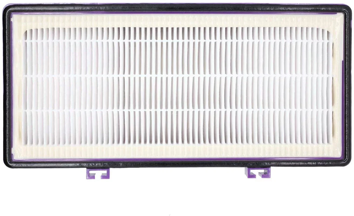 HEPA D Filter for Holmes AER1 HAPF300/HAP30 (4 Pack + 8 Pre-Carbon Sizeheet)