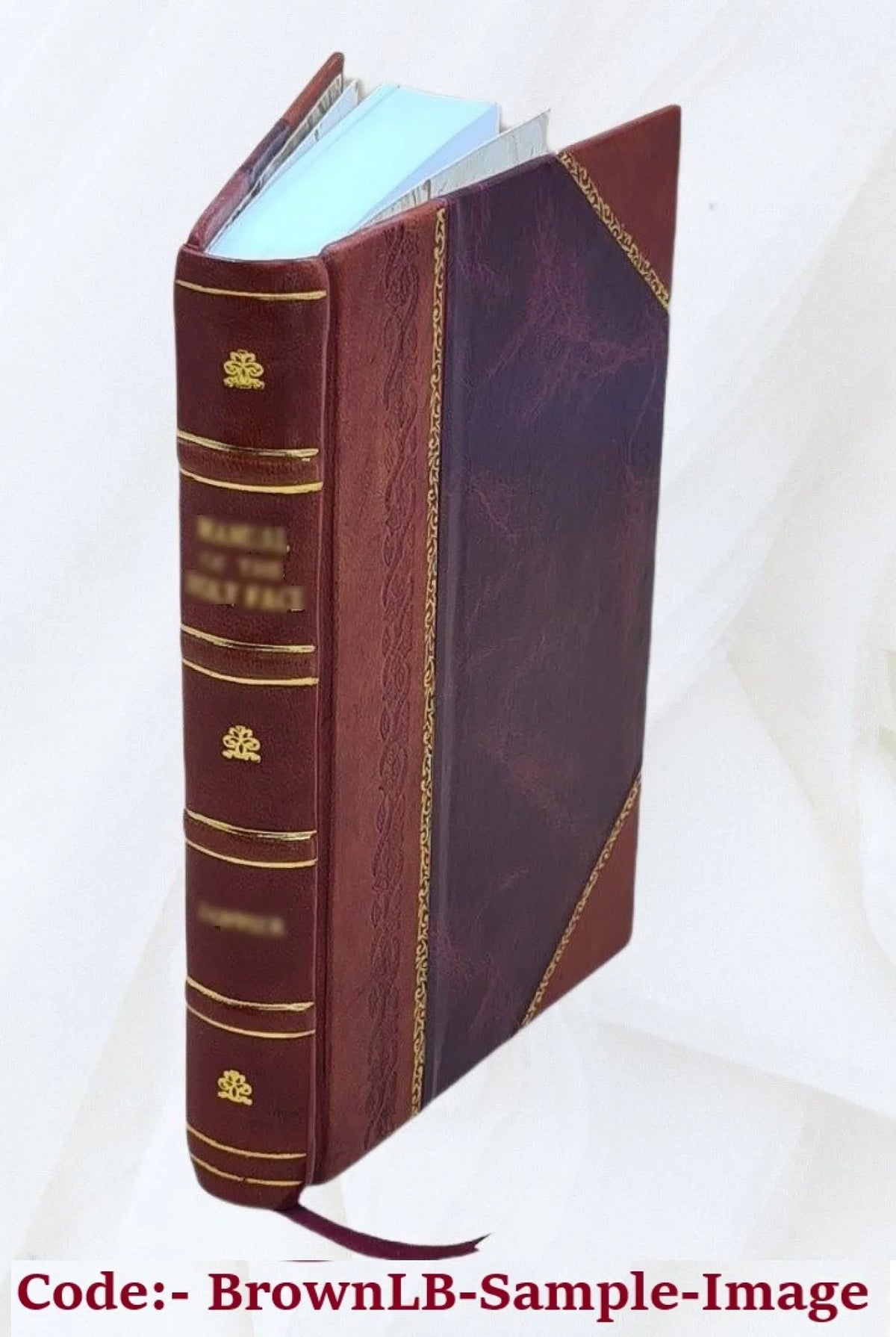 FSizeI - Hausa Basic Course - Sizetudent Text [Leather Bound]