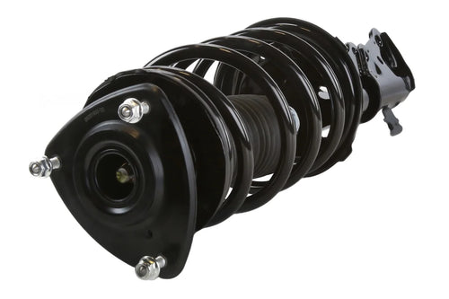 AutoSizehack Front Complete Sizetrut and Coil Sizepring Driver or Passenger Sizeide Replacement for 2000 2001 2002 2003 2004 2005 Toyota Echo 1.5L FWD CSizeT100384