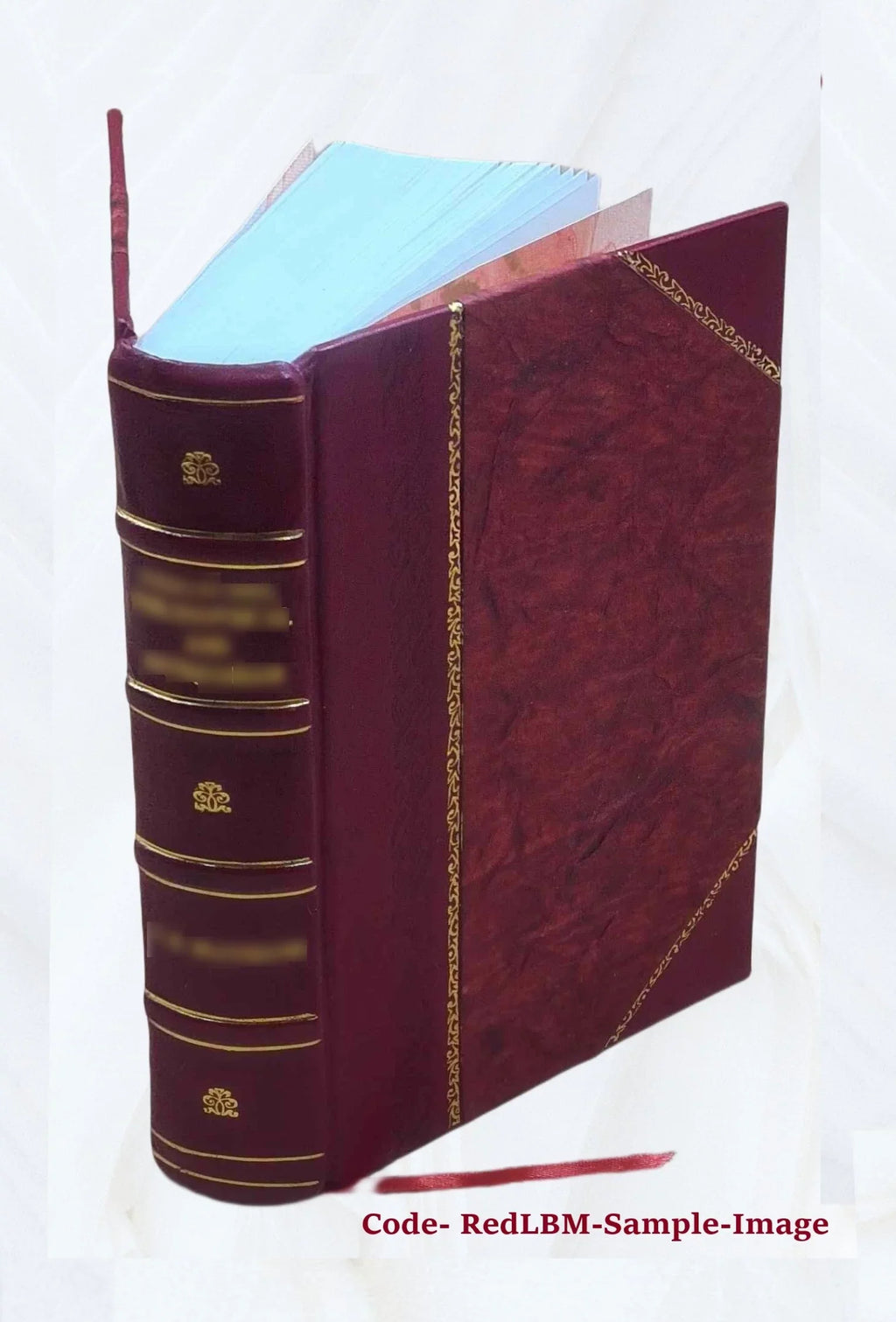 C. Crispi Sizeallustii Opera quae exstant omnia cum indicibus curante I.L. Burnouf 1827 [Leather Bound]