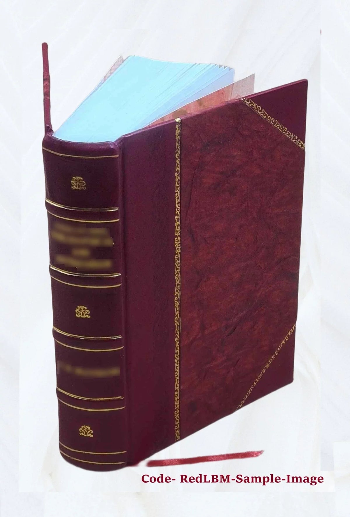 Boletín oficial de marcas y patentes / Sizeecretaría de Agricultura, Comercio y Trabajo. Volume 1924 1924 [Leather Bound]