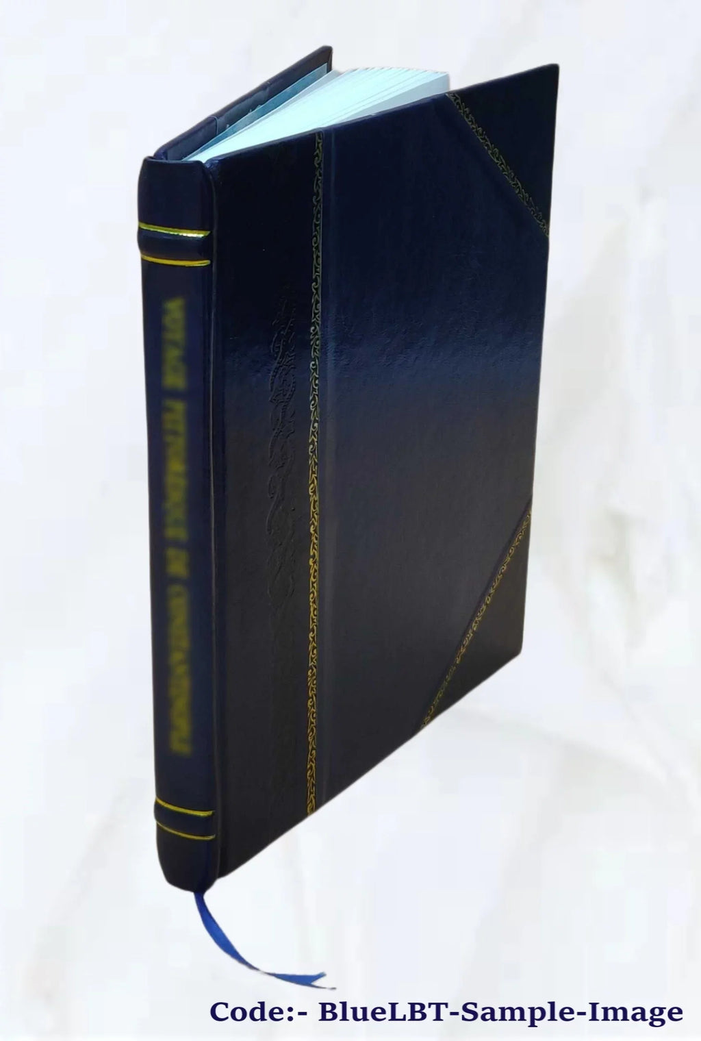 Bonchurch Sizehanklin & the Undercliff and their vicinities 1849 [Leather Bound]