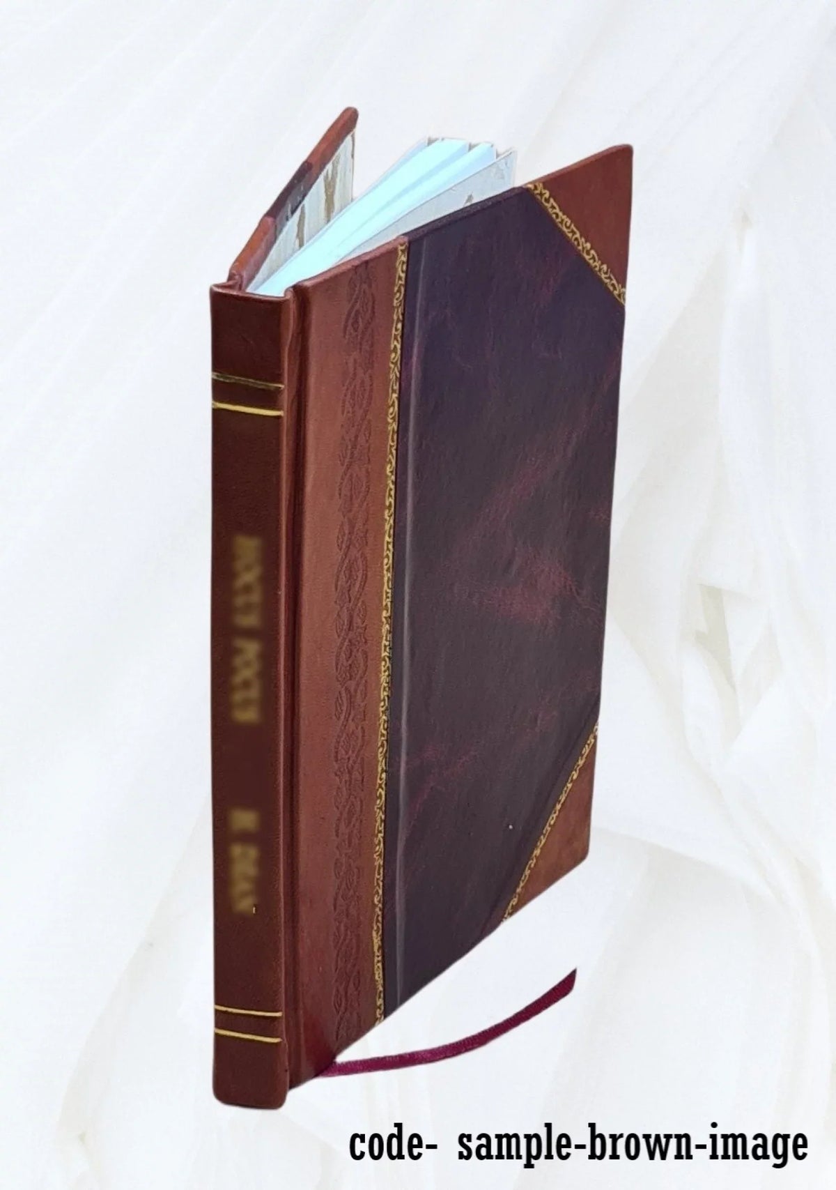 To Thavōr : ētoi perigraphē topographikē kai historikē tou Thavōriou Orous. 1867 [Leather Bound]