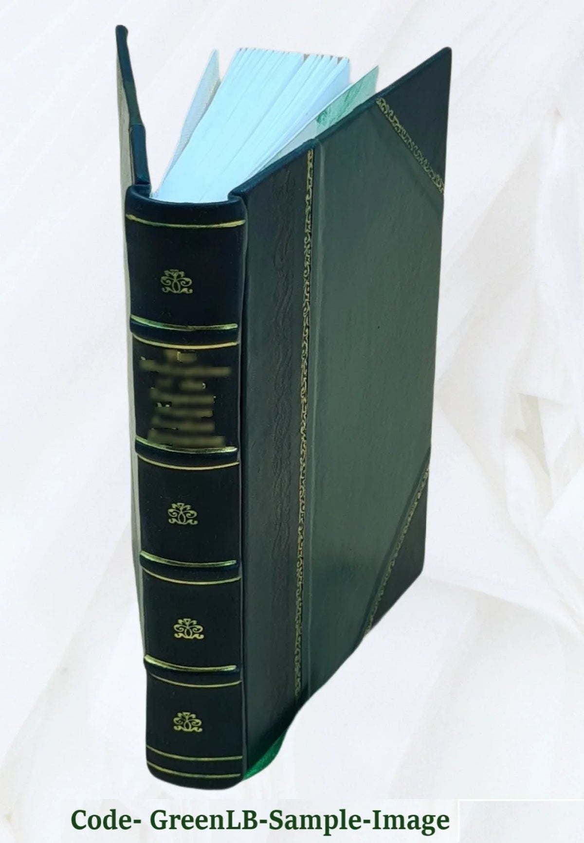 Ralf Sizekirlaugh, the Lincolnshire squire : a novel Volume 2 1870 [Leather Bound]